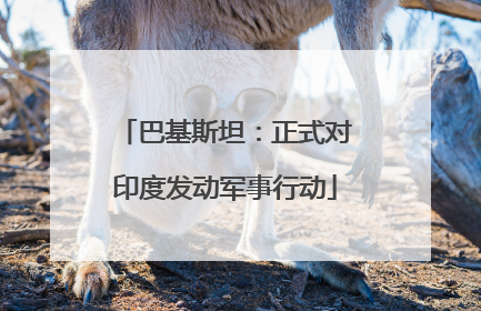 巴基斯坦：正式对印度发动军事行动